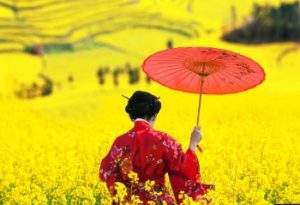 cours de japonais
